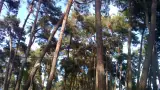 Гостевой дом «Золотая рыбка», п. Лдзаа