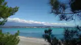 Близость к центральному пляжу с реликтовой пицундской сосной