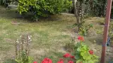 Наличие двора с экзотическими растениями, пальмами и цветами