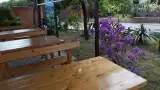 Наличие двора с экзотическими растениями, пальмами и цветами