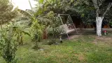 Наличие двора с экзотическими растениями, пальмами и цветами