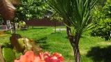 Наличие двора с экзотическими растениями, пальмами и цветами