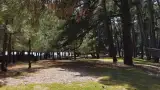 Гостевой дом «Золотая рыбка», п. Лдзаа