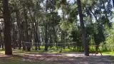 Гостевой дом «Золотая рыбка», п. Лдзаа